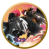 529-70