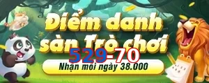529-70